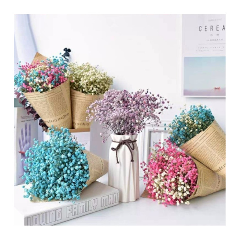 莱杉花瓶/花艺报价_参数_图片_视频_怎么样_问答-苏宁易购