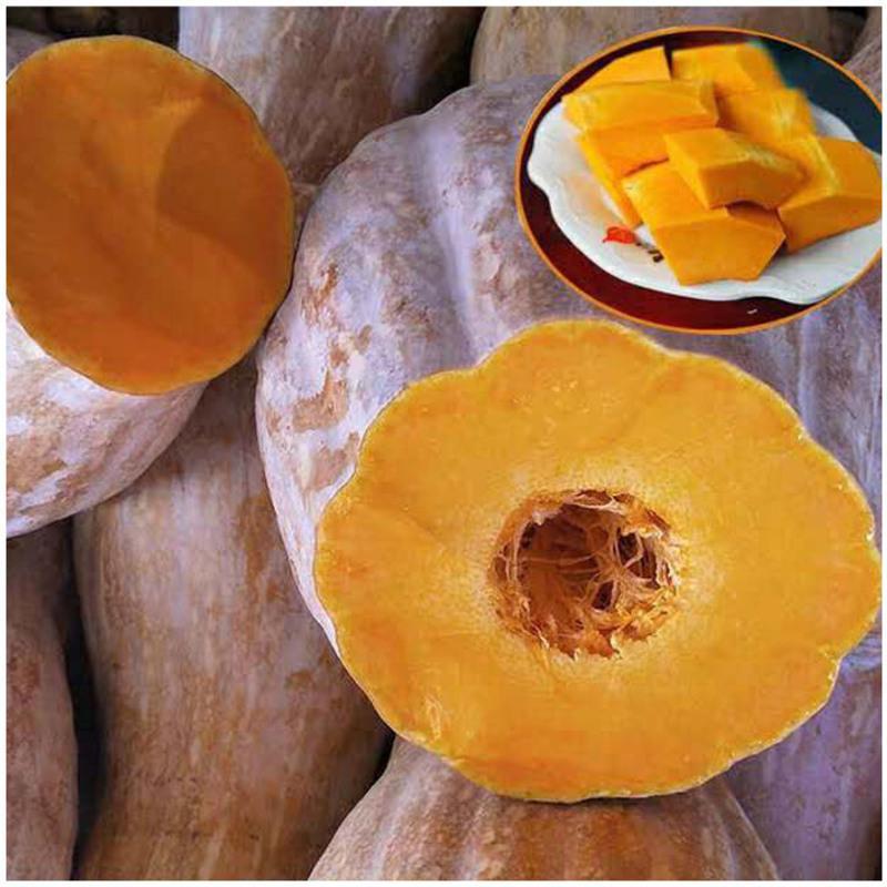 赛卡伊本地新鲜甜糯老品种南瓜辅食农家黄皮南瓜长南瓜