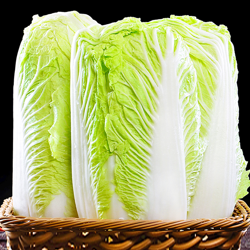 西沛生鲜陕西大白菜带箱23斤新鲜包心大娃娃菜当季农家蔬菜青菜整棵