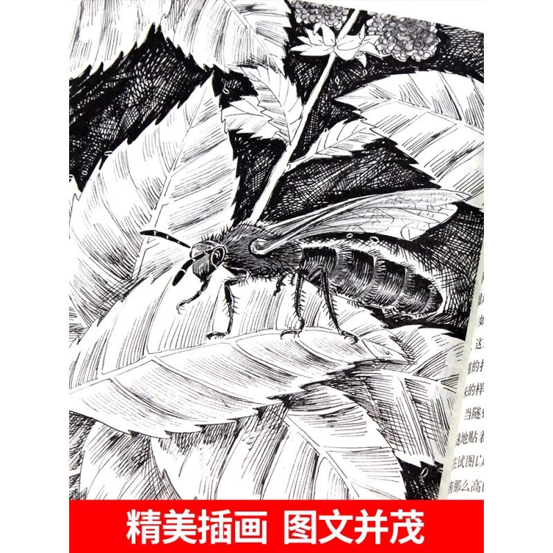[配套人教版]初中中考必读12本名著 [正版]全套12册 初中必读名著十二本朝花夕拾鲁迅原著西游记海底两万里和骆驼祥子老