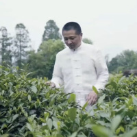 乔制白 国茶 2018年寿眉 紧压白茶