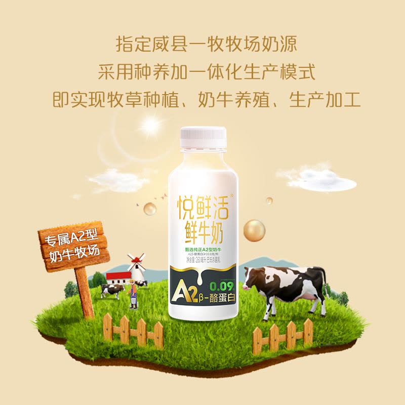 悦鲜活A2鲜牛奶260mlx5瓶+鲜牛奶260mlx5瓶君乐宝纯牛奶瓶装生牛乳营养早餐奶低温巴氏奶图片