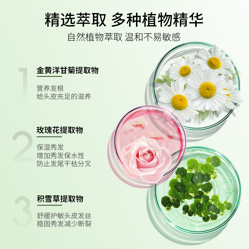 柏缇小苍兰洗护沐套盒 柏缇柔润顺滑洗发露 800ml 柏缇水润嫩肤沐浴露 800ml 柏缇营养滋润护发素 800ml高清大图