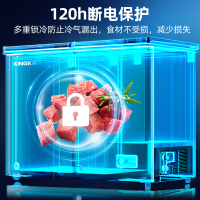 星星(XINGX) 232升家用冰柜 冷柜 商用 冷藏冷冻转换 双温冰柜 顶开门 微霜系列 强冷冻力 BCD-232R