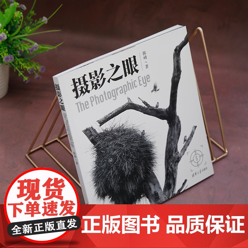 摄影之眼 构图有术 摄影有法 构图法册全解密 5年打磨:全球摄影大赛金奖摄影师力作 现代艺术摄影理论正版书清华大学出版社高清大图