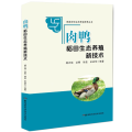 肉鸭稻田生态养殖新技术