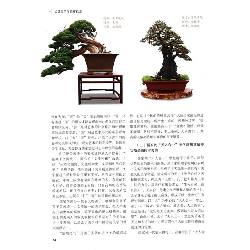 [醉染正版]盆景美学与创作技法 薛以平 盆景鉴赏制作养护技巧 养花书籍树木盆栽制作教程 水旱/山水/文人树盆景 中式 造高清大图