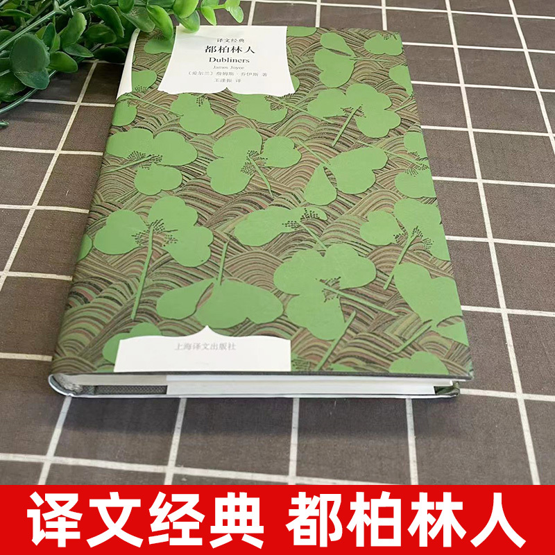 [正版]译文经典都柏林人 乔伊斯著/王逢振译 爱尔兰文学 上海译文出版社 初高中学生课外阅读 名家名译世界名著文学外国