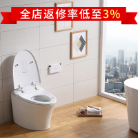 日本大普智能马桶一体机无水箱即热式全自动冲洗烘干家用智能坐便器300mm400mm坑距送货上门