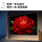 TCL电视 75T5K 75英寸 144Hz QLED量子点 安桥2.1声道音响 超薄 4+64GB电视