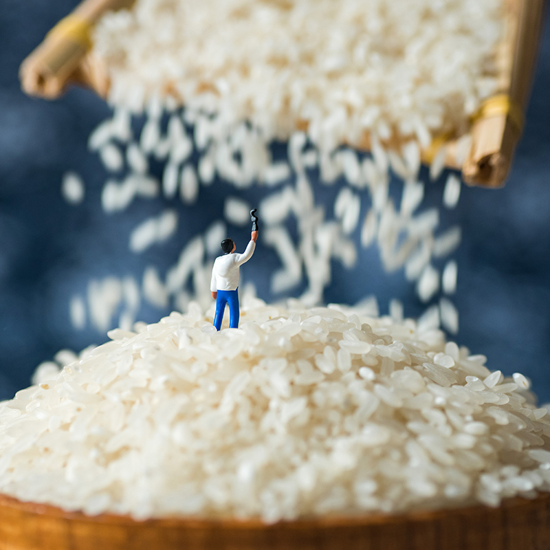 滋稻乐五常大米5kg 2020新米 真空新鲜现磨 不抛光 颗颗饱满 弹性十足