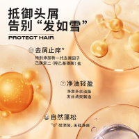 马丁清爽控油洗发露500ml*2瓶