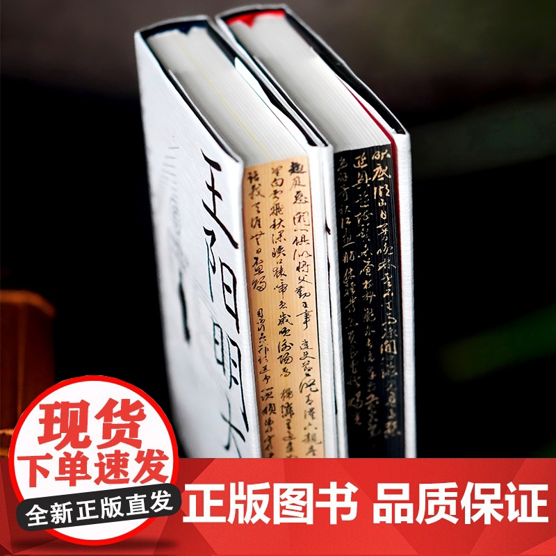 华章大历史丛书043·王阳明大传:知行合一的心学智慧(精装典藏版)刷边版解读知行合一理念人生哲理修身处世知行合一传习录大高清大图