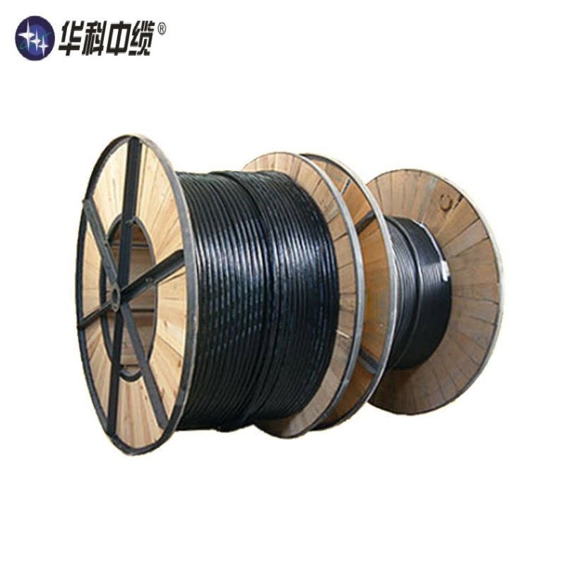 华科中缆 铜芯低压线WDZN-YJV22-0.6/1KV-4×95+1×50 米图片