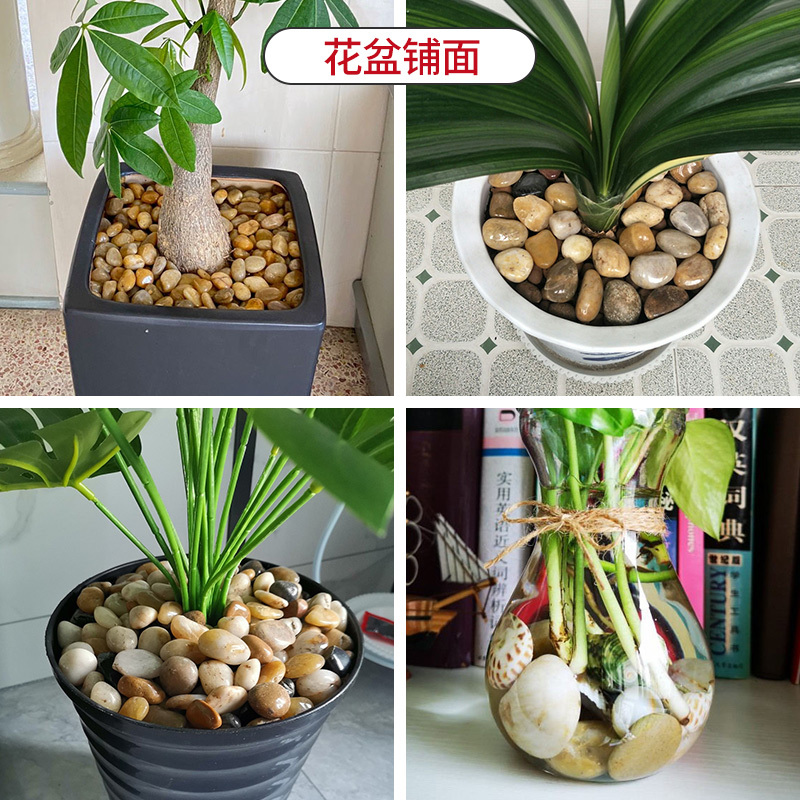 鹅卵石雨花石原石鱼缸花盆石小石子庭院装饰五彩石头铺地水培高清大图