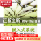 正版 嵌入式系统接口原理与应用 文全刚 北京航空航天大学出版社