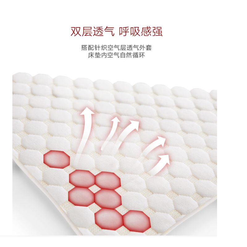 百特尚优 床垫 1000*2000*50 BT-CD23 张