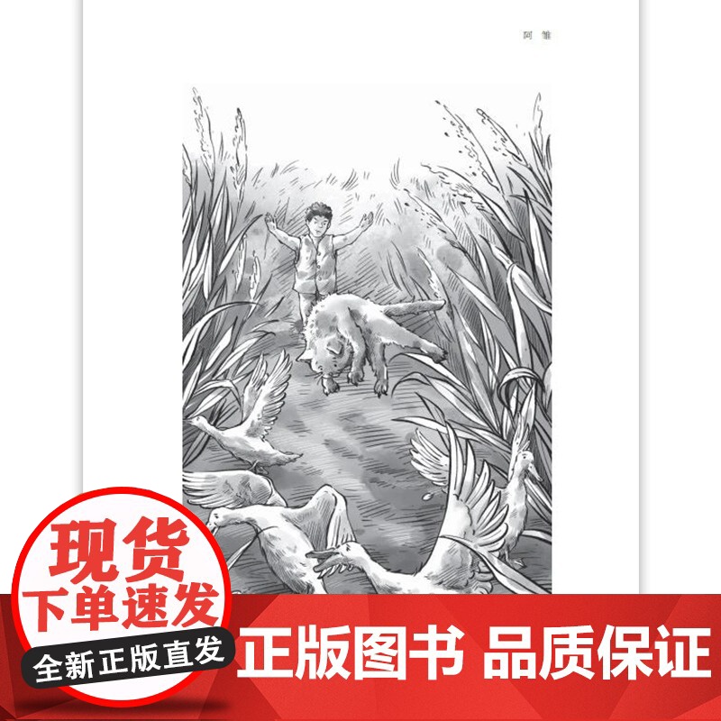 儿童文学双峰优选 孤独的阿雏 曹儿童文学作家联袂对亲情友情生命成长等进行探讨在比较阅读中让孩子获得心灵成长生命力量fbx高清大图
