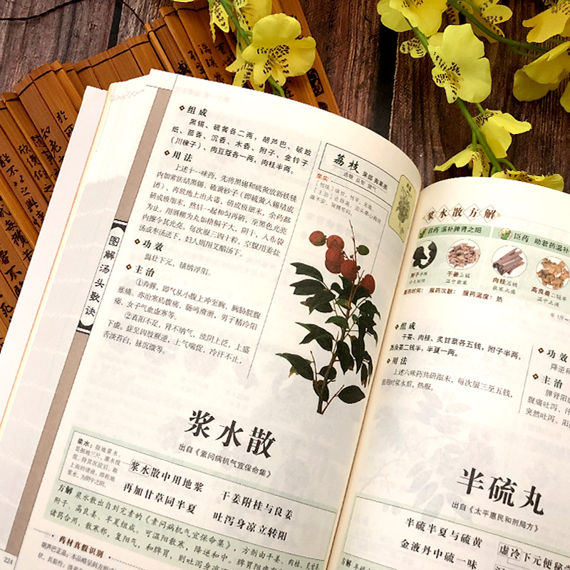 醉染图书图解汤头歌诀9787571302818高清大图