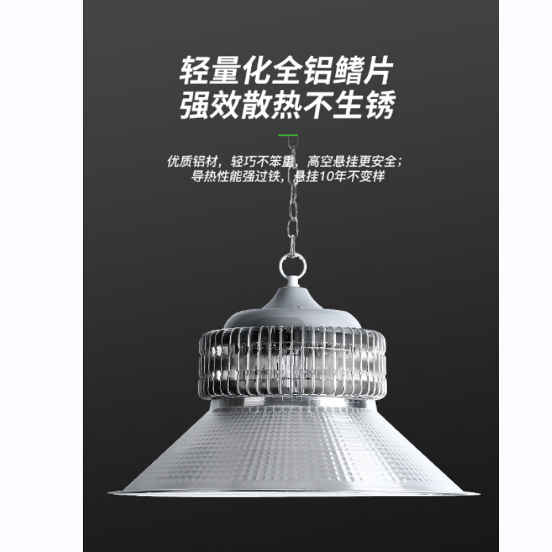 非芯赫 LED应急吊灯 FHGD250-100高清大图