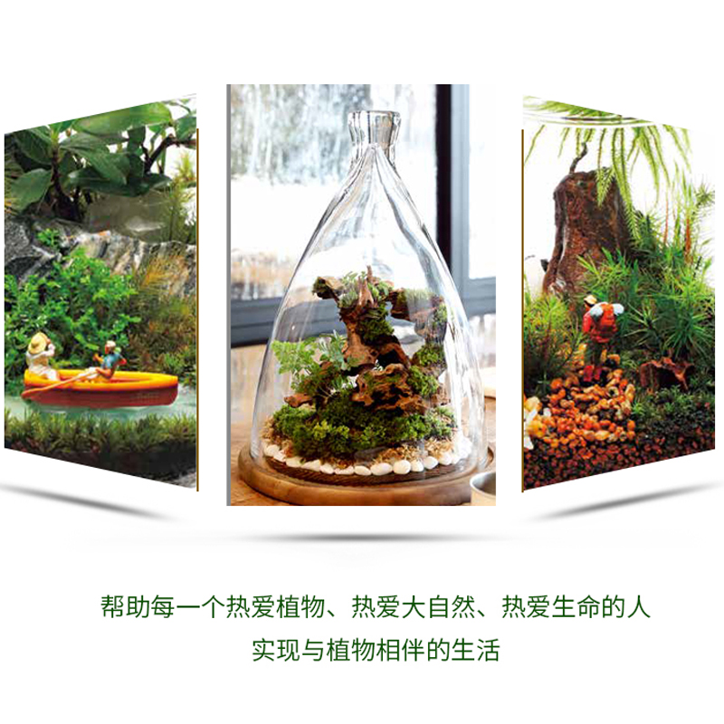 [正版]苔藓生态瓶 教你打造迷你玻璃微景观花园制作花卉DIY盆栽缸种植物技巧教程与养护图鉴多肉花艺园艺创意设计图谱多肉高清大图