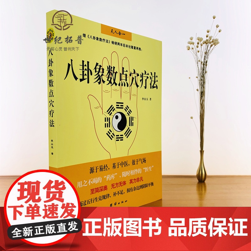 正版 八卦象数点穴疗法(八卦象数疗法续集) 中国传统神秘文化基于中医不药自愈家庭养生书籍 中医书籍 李山玉/著 团结高清大图
