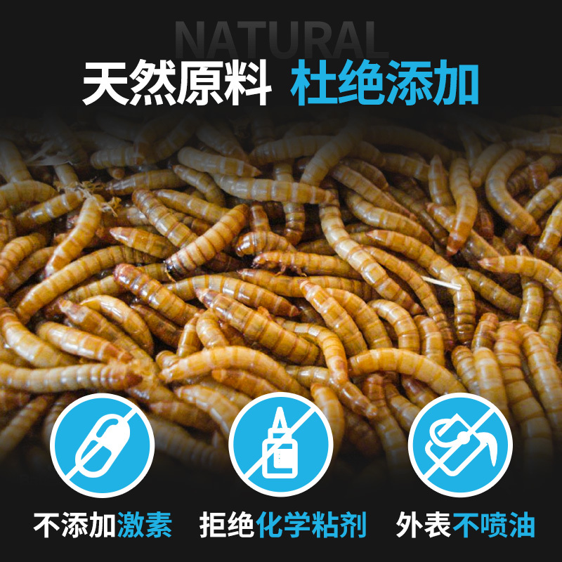 面包虫虫干粉虫鹦鹉鱼乌龟银龙金龙鱼画眉鸟石蛙饲料500克高清大图