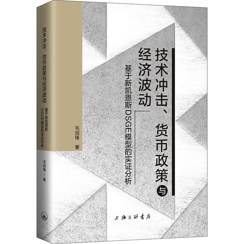 醉染图书技术冲击、货币政策与经济波动9787542670793高清大图