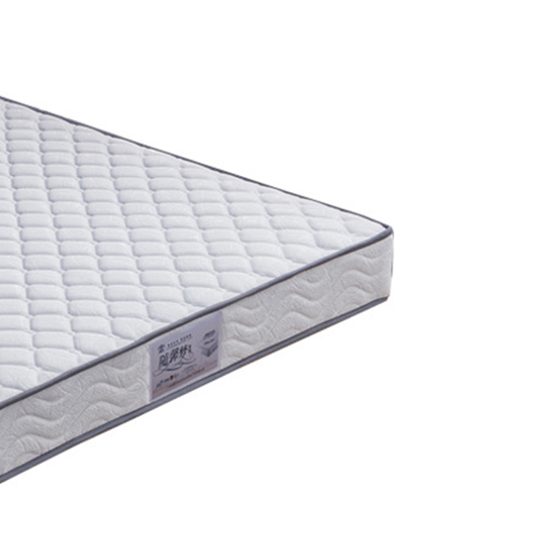 合祥源 椰棕弹簧床垫 1800*2000*200mm QX-CD08 块高清大图