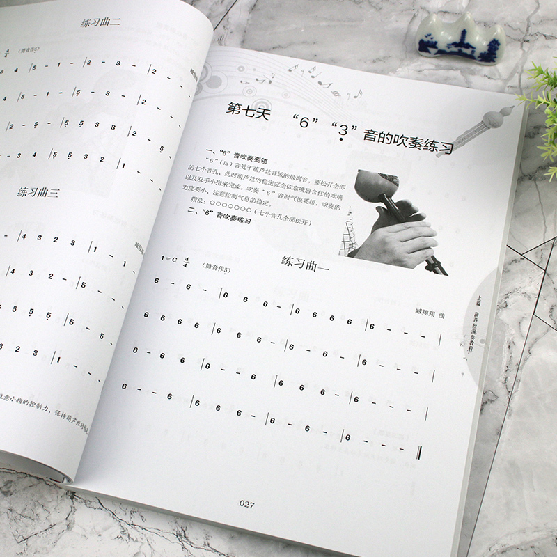 [正版]葫芦丝自学一月通 赠视频示范讲解 114首葫芦丝乐曲 30天学会葫芦丝演奏技巧 葫芦丝技法教程 经典金曲葫芦丝高清大图