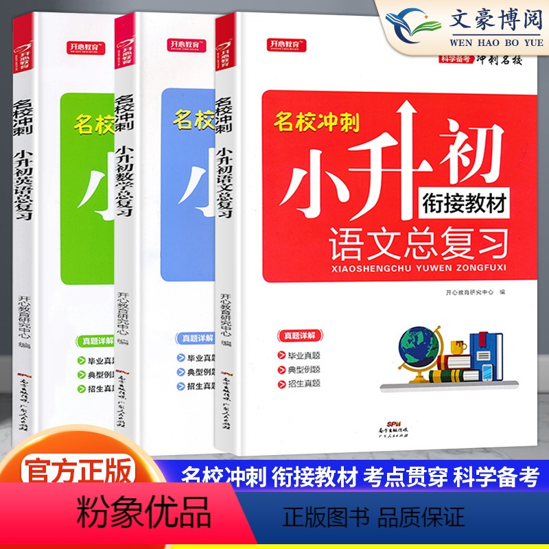 [小升初]总复习语+数+英3本 小学通用 [正版]新版名校冲刺小升初必刷题真题卷系统总复习语文数学英语小升初名师帮你总复