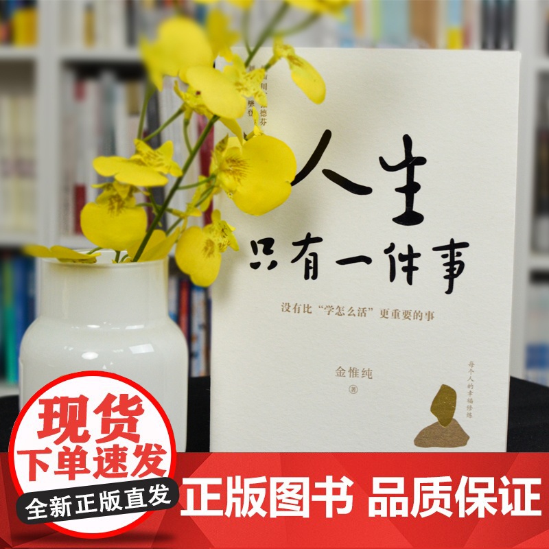 人生只有一件事+人生总会有答案 金惟纯作品 哲学智慧和人生思考 女人如何活出自我 成人励志治愈读物 人生没有什么放不下弘高清大图