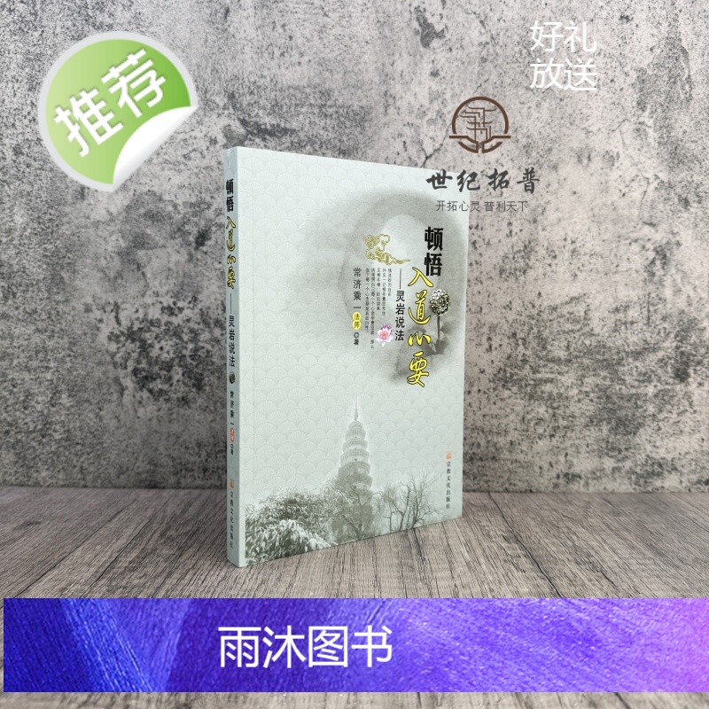 正版 顿悟入道心要:灵岩说法 常济乘一著 宗教文化出版社高清大图