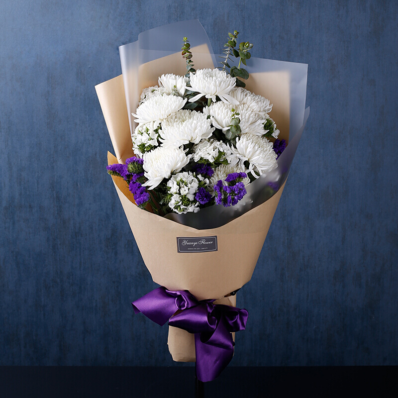 鼎卉鲜花速递扫墓殡葬鲜花8朵白菊花鲜