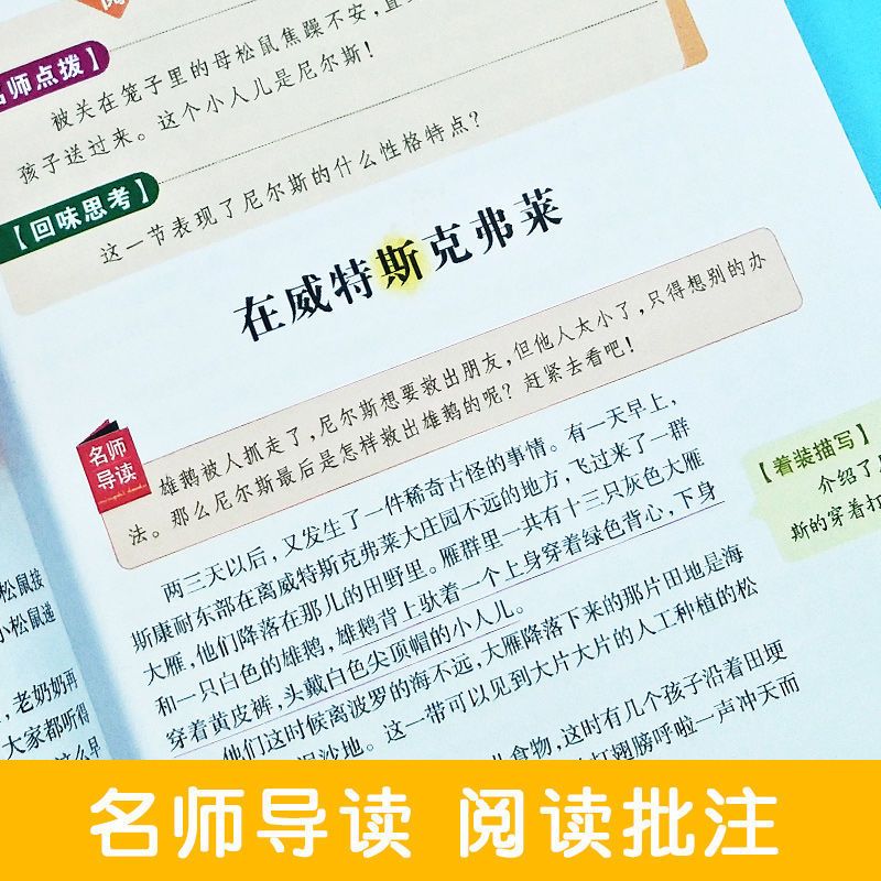 尼尔斯骑鹅旅行记正版彩图小学生三四五六年级课外必读儿童故事书 尼尔斯骑鹅旅行记