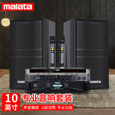 万利达(Malata)AM801A家庭KTV音响套装影院卡拉OK10英寸会议音箱套装舞台专业全套设备