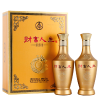 五粮液财富人生金钻(2瓶)500ml*2