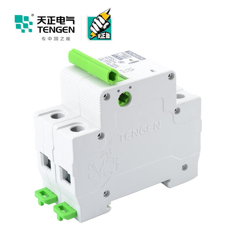 天正电气瑞彩系列TGHH-125 空气开关 2P 125A 336011200009 微型断路器