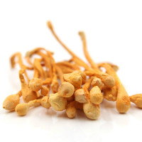 虫花干货 虫花孢子头蛹虫 北金虫正品250g*2袋