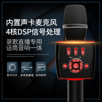 屁颠虫(HIFIER)F2话筒带音响一体手机全民K歌蓝牙无线家用电视专业唱歌神器录歌麦克风黑红色 3.5音频接口