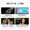 vivo S17t 12GB+512GB 花海 5G全网通新品手机天玑8050强劲芯5000万前后柔光80W闪充拍照游戏学生手机