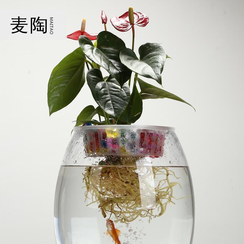 水培玻璃植物陶瓷玻璃鱼缸家用现代家居客厅装饰风水摆件_610