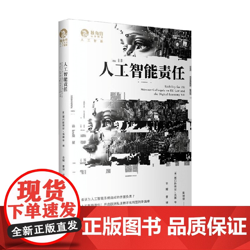 人工智能责任 塞巴斯蒂安·洛塞等 编著 计算机与互联网高清大图