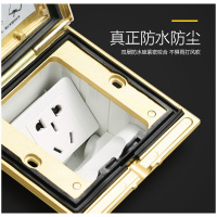 tcl罗格朗 官方旗舰店五孔地插地插座全铜防水面板式地板地面插座二三插 IP55铜质地插 (送底盒)