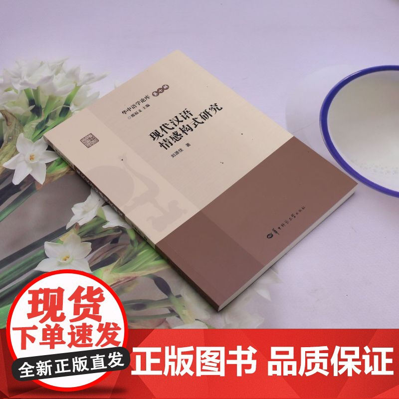 现代汉语情感构式研究