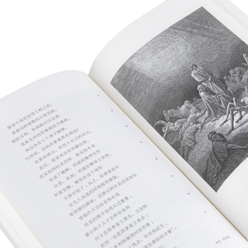 醉染图书神曲(全3册)9787573005高清大图