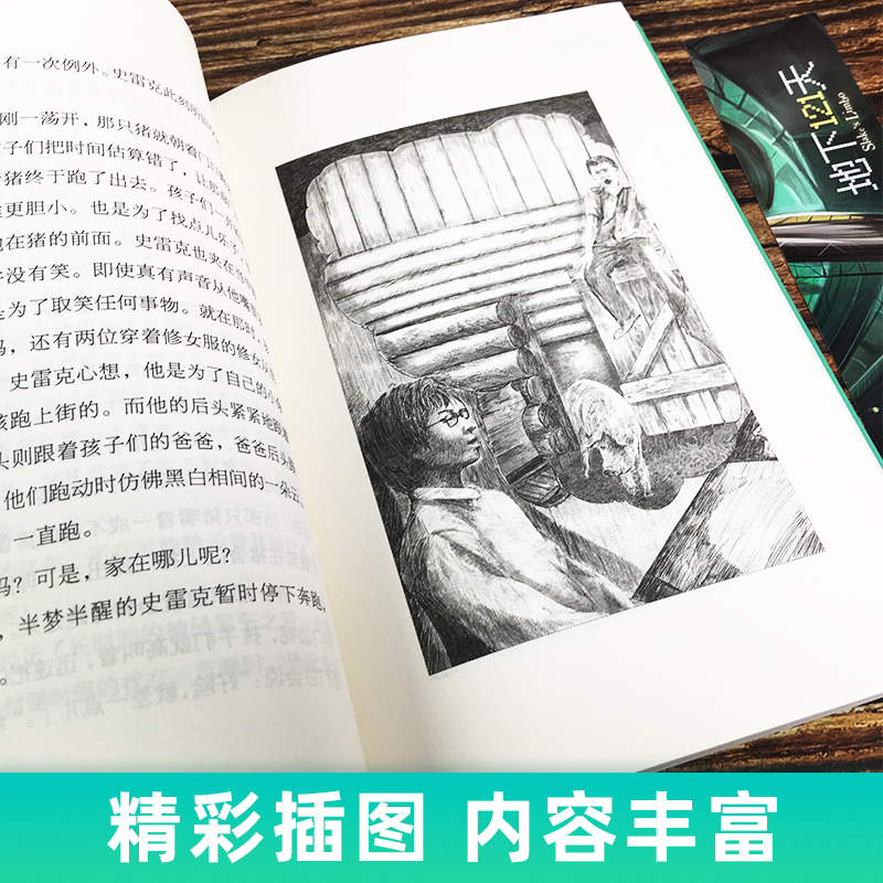 地下121天+时间博物馆+暗夜有星 [正版]地下121天书 长青藤国际大奖小说系列 霍尔曼儿童文学故事书9-12-15岁高清大图