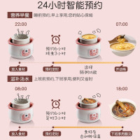 [买一送二]小浣熊电炖锅 电炖盅 全自动多功能煲汤煮粥燕窝锅 可预约隔水炖 0.8升粉色标准款(没有玻璃内胆)