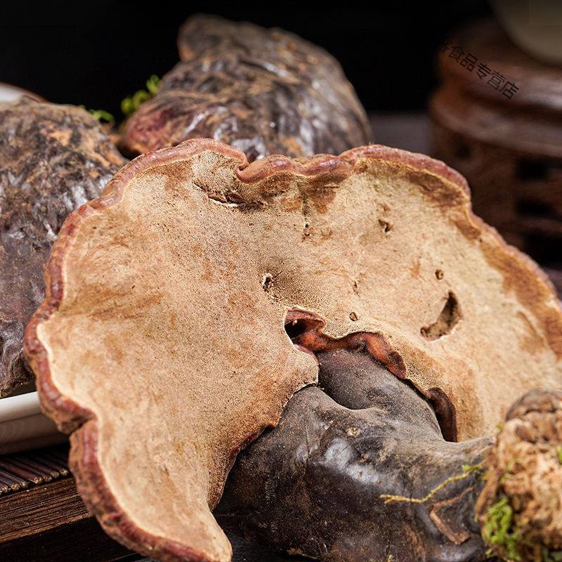 正宗松杉灵芝长白山纯灵芝铁杉灵芝木灵芝野松杉灵芝100克整枝