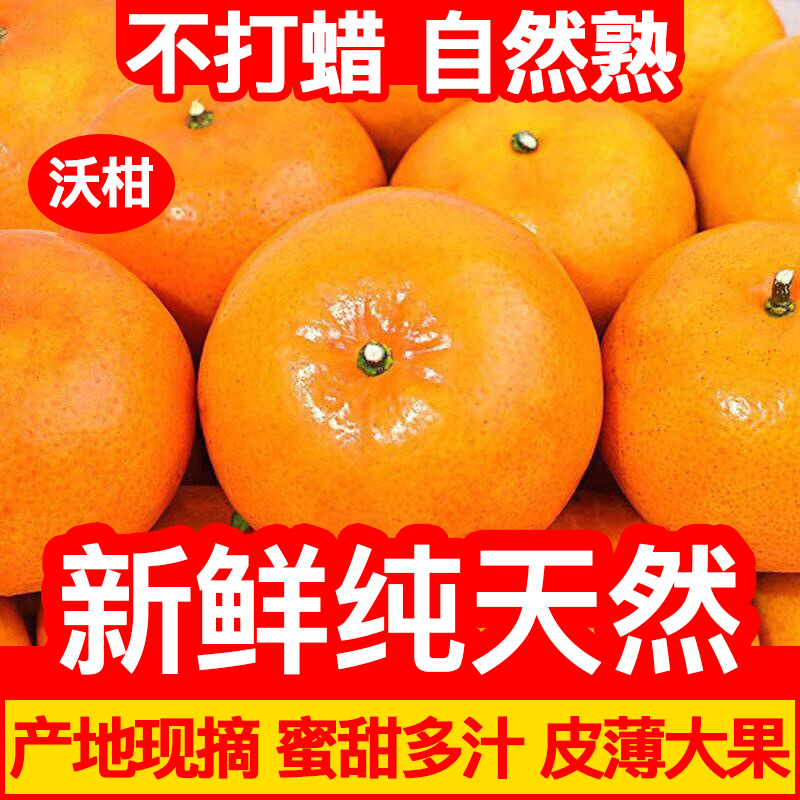 [新豆生鲜]新鲜当季沃柑5斤 整箱[现摘发货] 比耙耙柑丑橘丑柑好吃